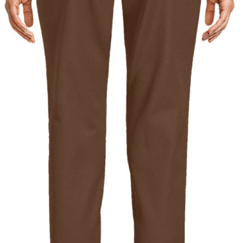 NWT! Women's High Rise Bi Stretch Pintuck Pencil Ankle Pants in Allspice